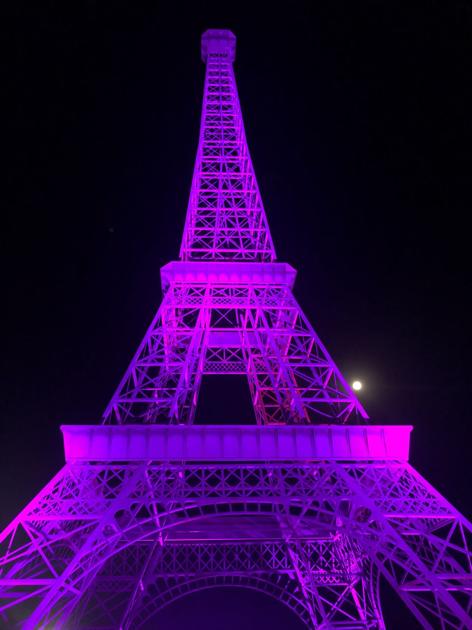 Purple Eiffel Tower Shines Light On Domestic Violence Local News