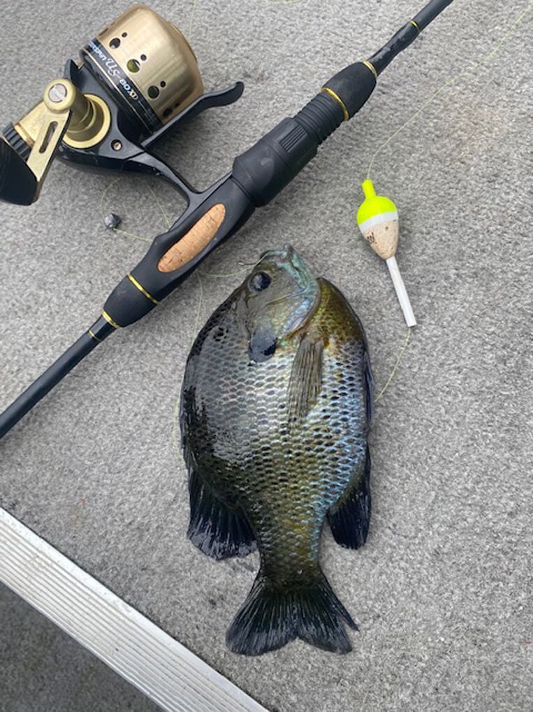 Late spring fishing scene heats up on Kentucky Lake