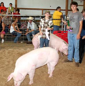 Paris TN: Peyden Valentine wins Junior Market Hog Show at the Henry ...