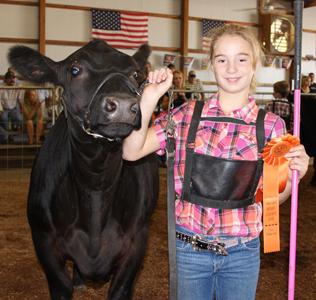 Paris Tn: Showmanship Winners For Beef Cattle At The Henry County Fair 