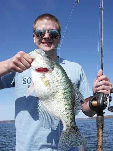 Crappie blitz toward shallow beds for spawning