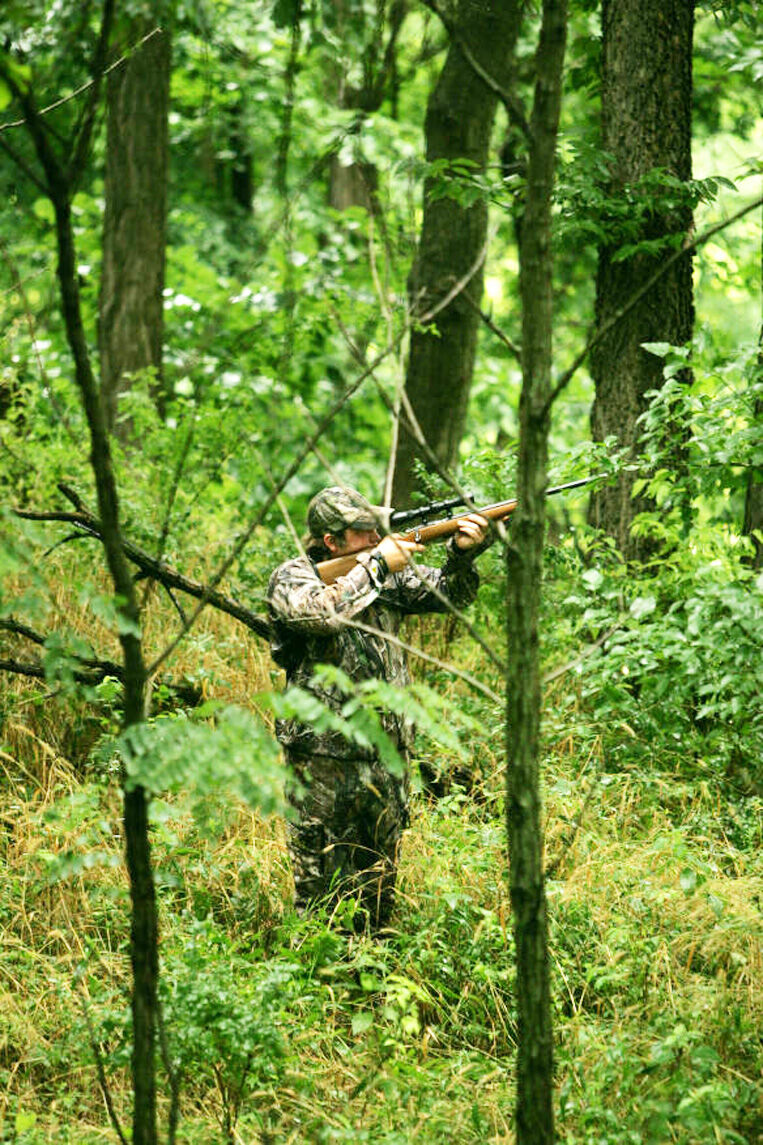 Squirrel season kicks off early fall hunting in Tennessee Outdoors