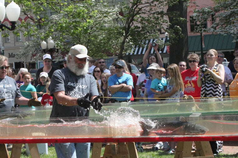 PARIS TN Highlights from the 2014 World's Biggest Fish Fry Catfish