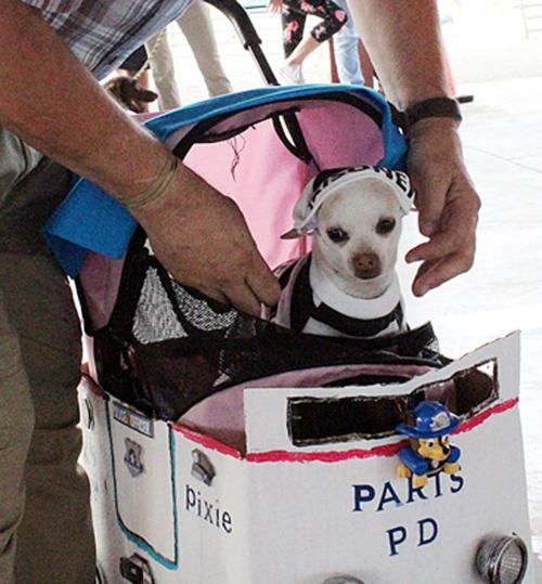 PARIS TN: The newest police dog