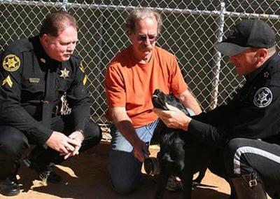 henry county tn paris animal shelter sheriff parispi department
