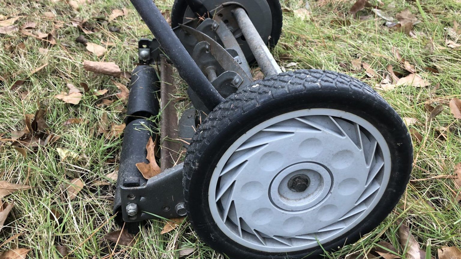 Should you buy a reel or rotary mower Farm parispi