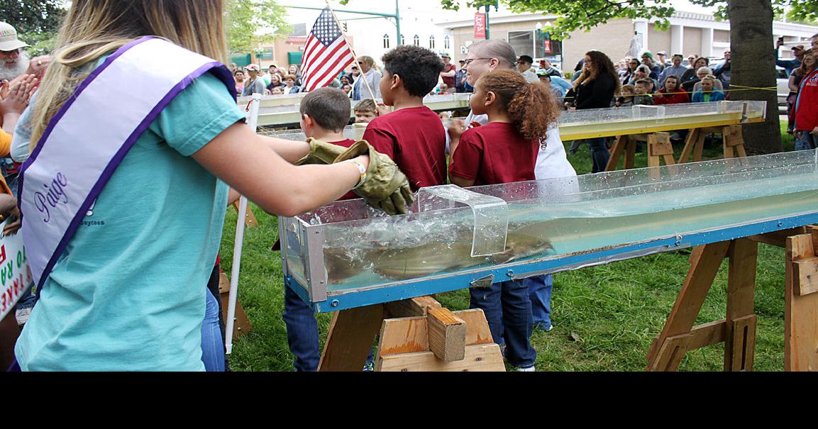 Catfish Races Local News