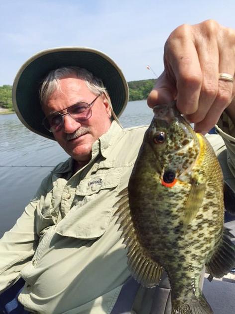 The bite is on Bluegill shellcracker spawn under way 