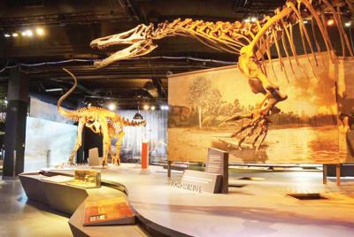Big bad lizard life is theme of show at Denver museum | Archives ...