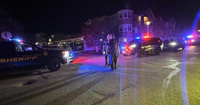 Man fatally shot after allegedly pointing gun at Douglas County ...