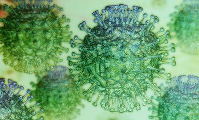Scarica Gratis Images Local Concerns Growing Over The Coronavirus News Parkerpioneer Net le plus cool salutations