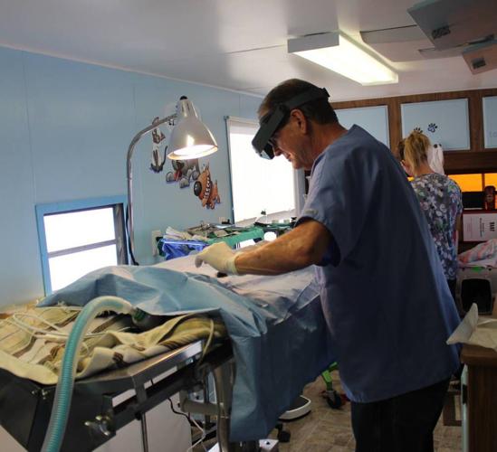 New spay/neuter facility at animal shelter | News ...