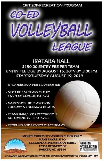 Co-ed volleyball league starting | Sports | parkerpioneer.net