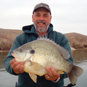 Are invasive quagga mussels leading to huge redear sunfish