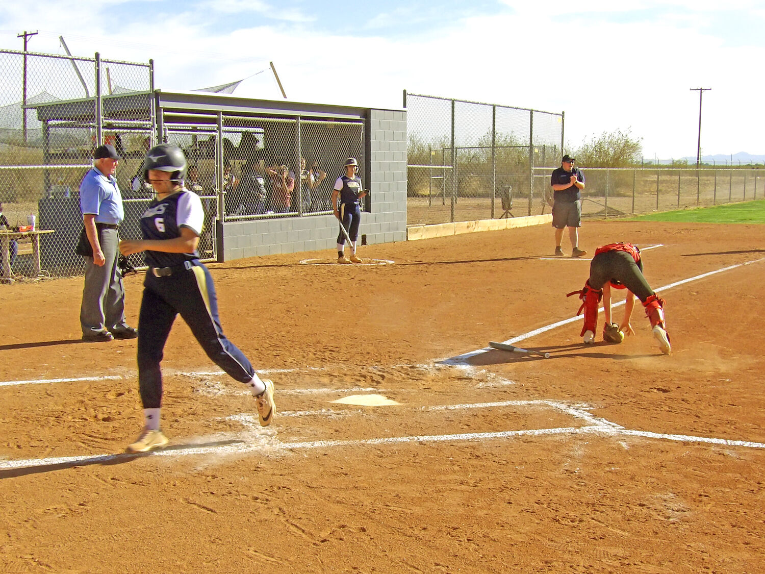 in the net softball