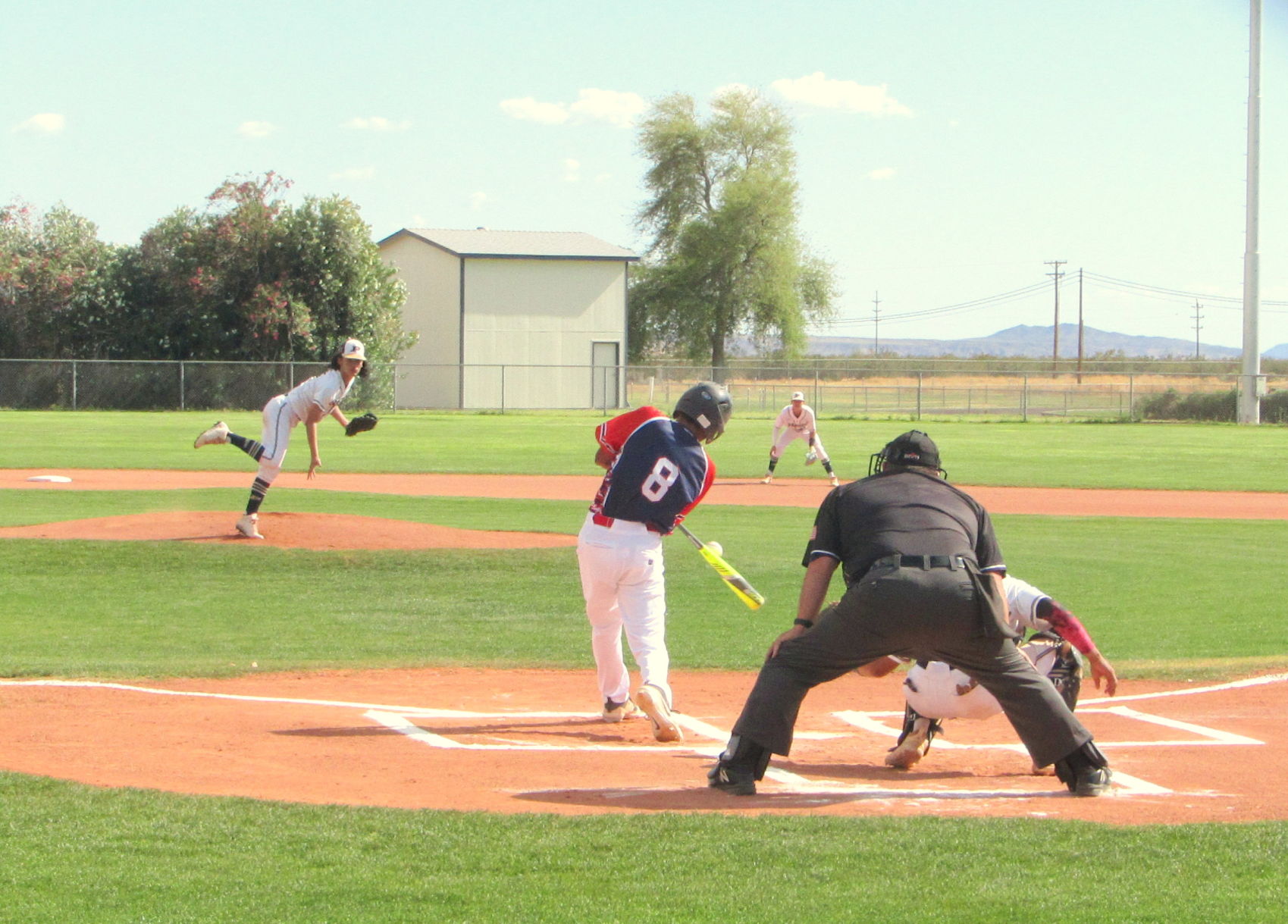 softball net academy