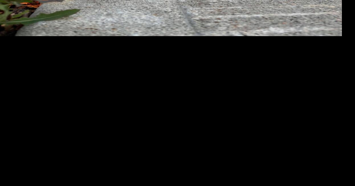 What’s going on here? Orange marks along Parry Sound sidewalks