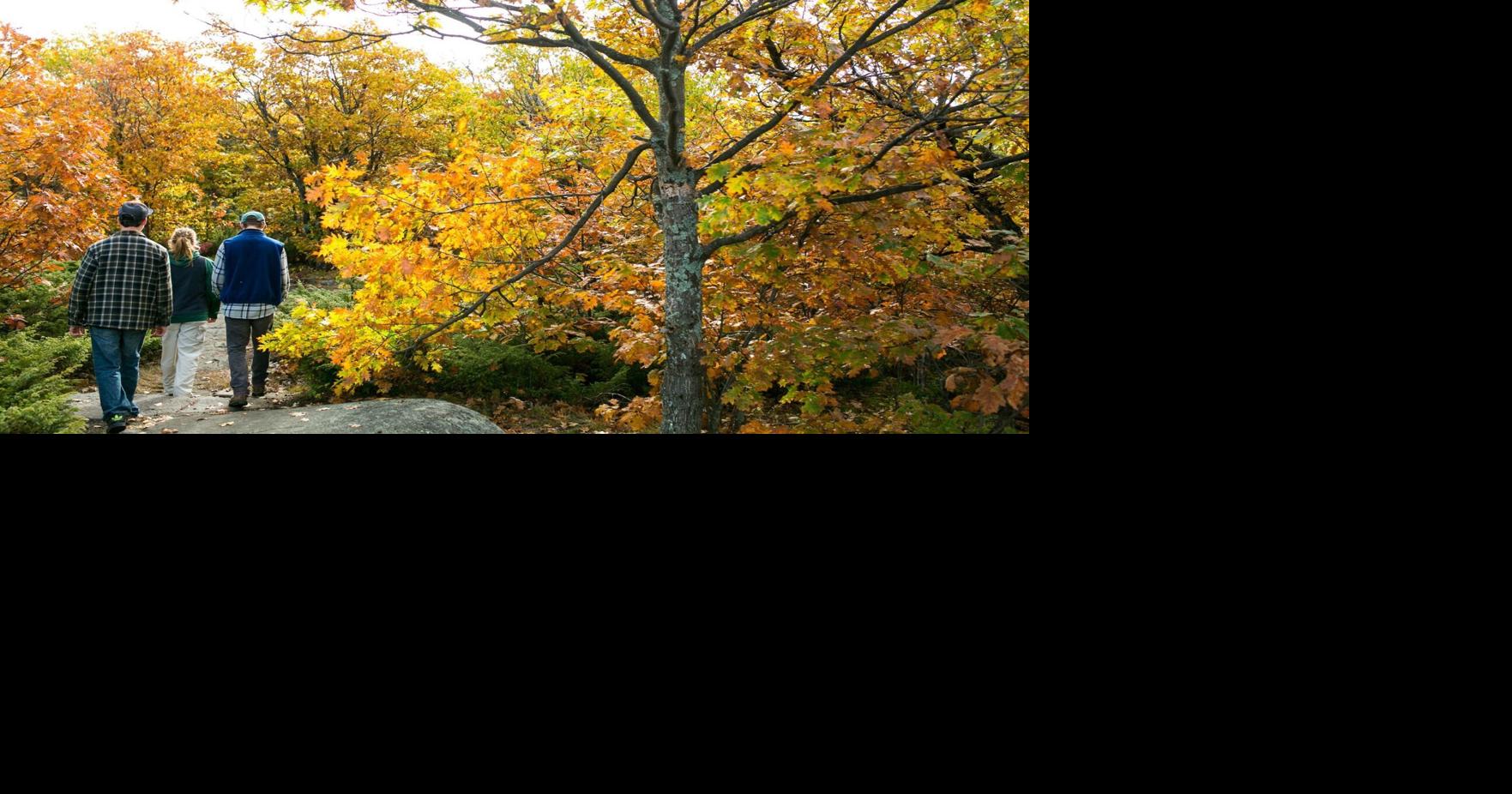 Changeover from fall to winter as inevitable as children growing