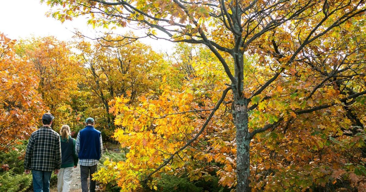 Changeover from fall to winter as inevitable as children growing