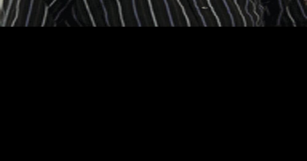 Former Parry Sound librarian sentenced to 11 months in jail for fraud