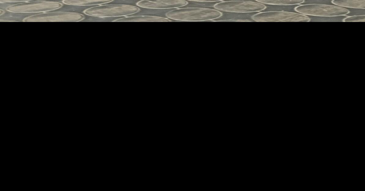 After 50 years at Parry Sound Canadian Tire Rob Morrish bids adieu