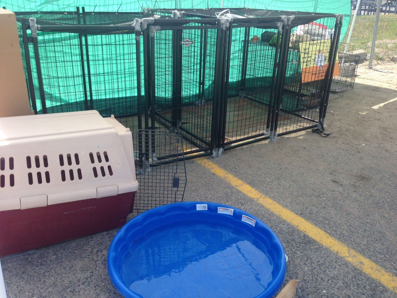 Canadian tire hotsell dog kennel