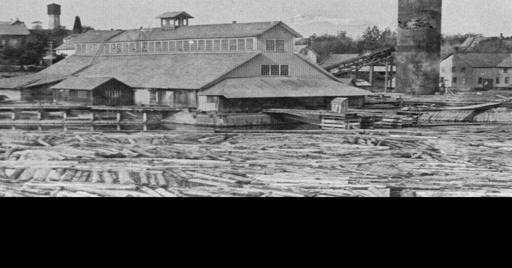 Parry Sound's roots in logging, future in forestry