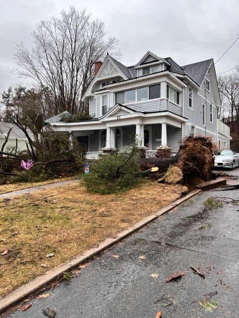 Trees fall on Parry Sound homes during thunderstorm