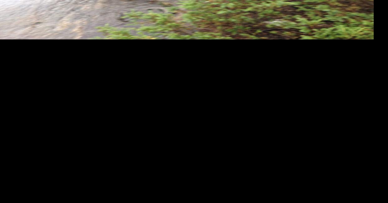 Slip and fall rescue at Grundy Lake Provincial Park