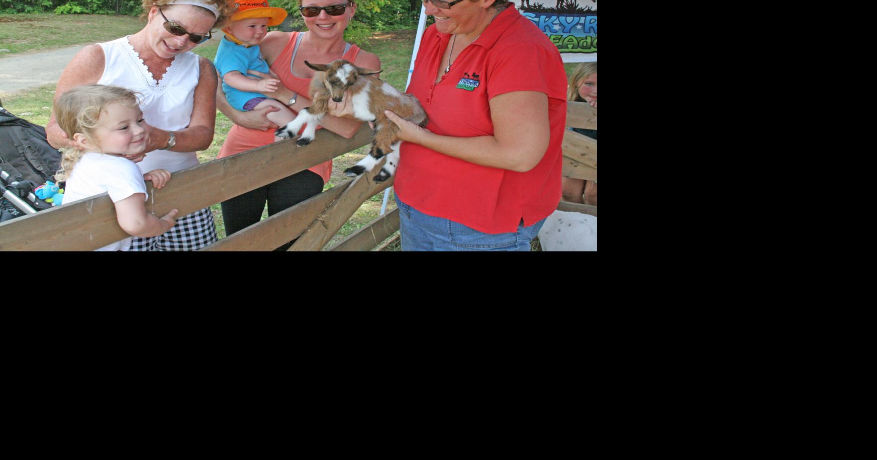 5 things to do this long weekend, Aug. 30 to Sept. 2 in Parry Sound area