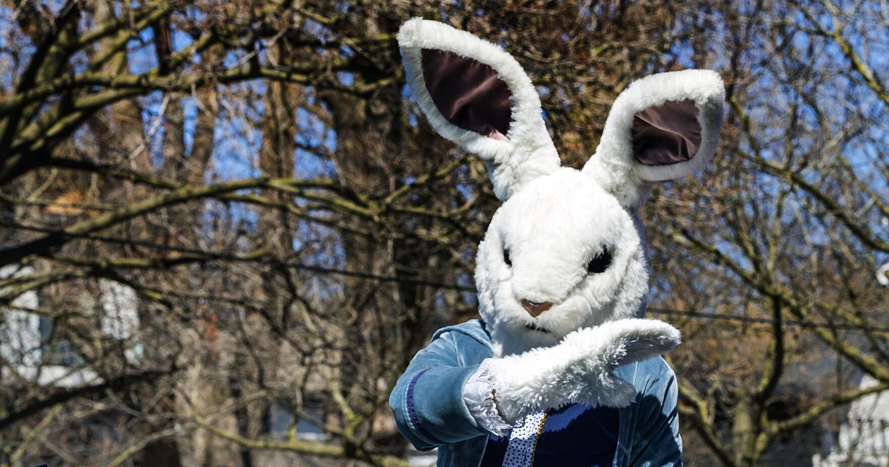 Easter egg hunts and spring fun happening across the GTA - Vimarsana News