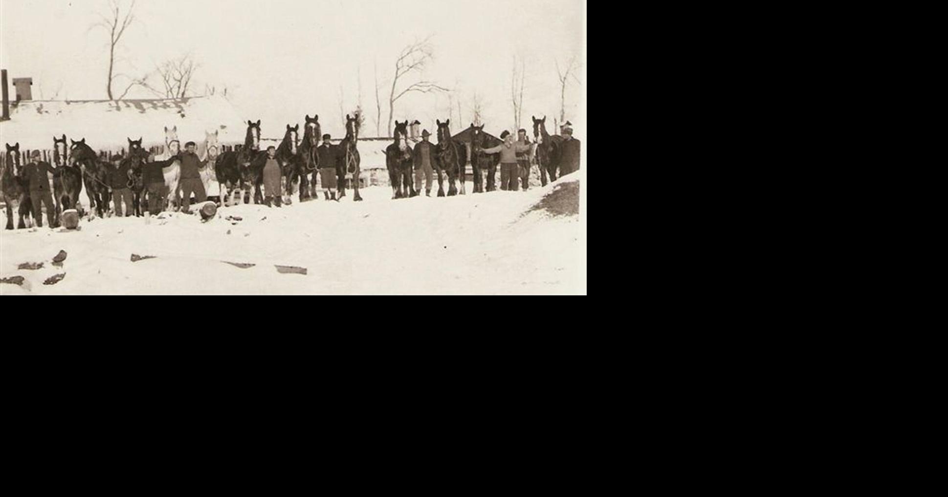 Final chapter of Parry Sound’s pinelogging era opened 100 years ago