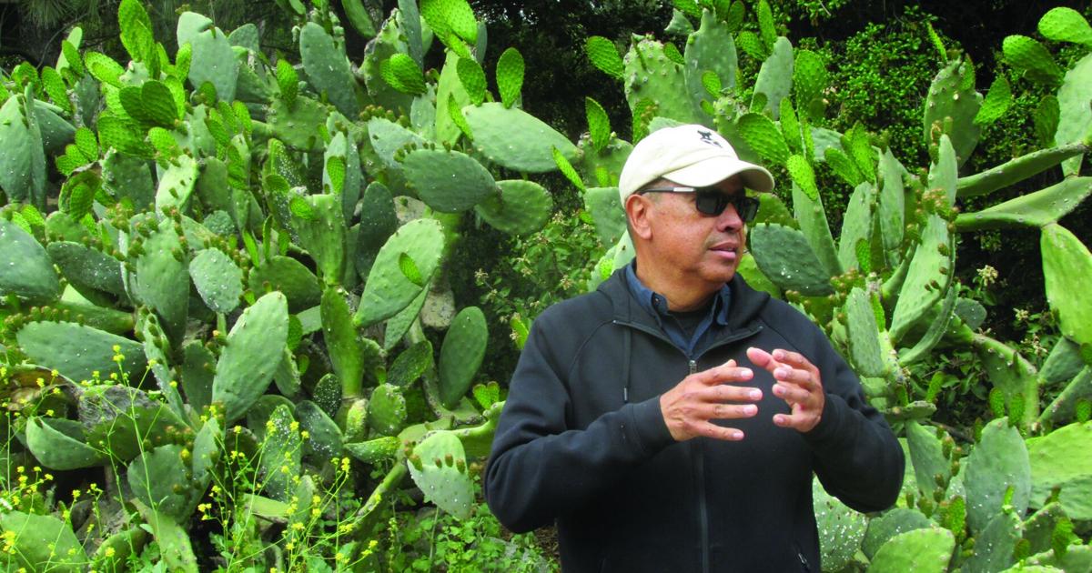 Prickly Pear Cactus Ambassador: Pasadena City College presentation showcases health benefits of plant