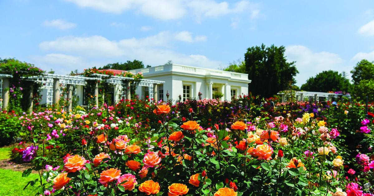 Everything’s Coming Up Roses: Huntington celebrates music, art and LGBTQ+ during 11th annual event