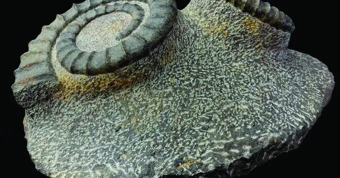 Community and Character: Local businesses that emphasize thoughtful selection