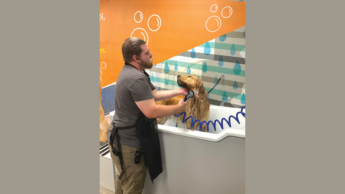 Dogtopia services on sale