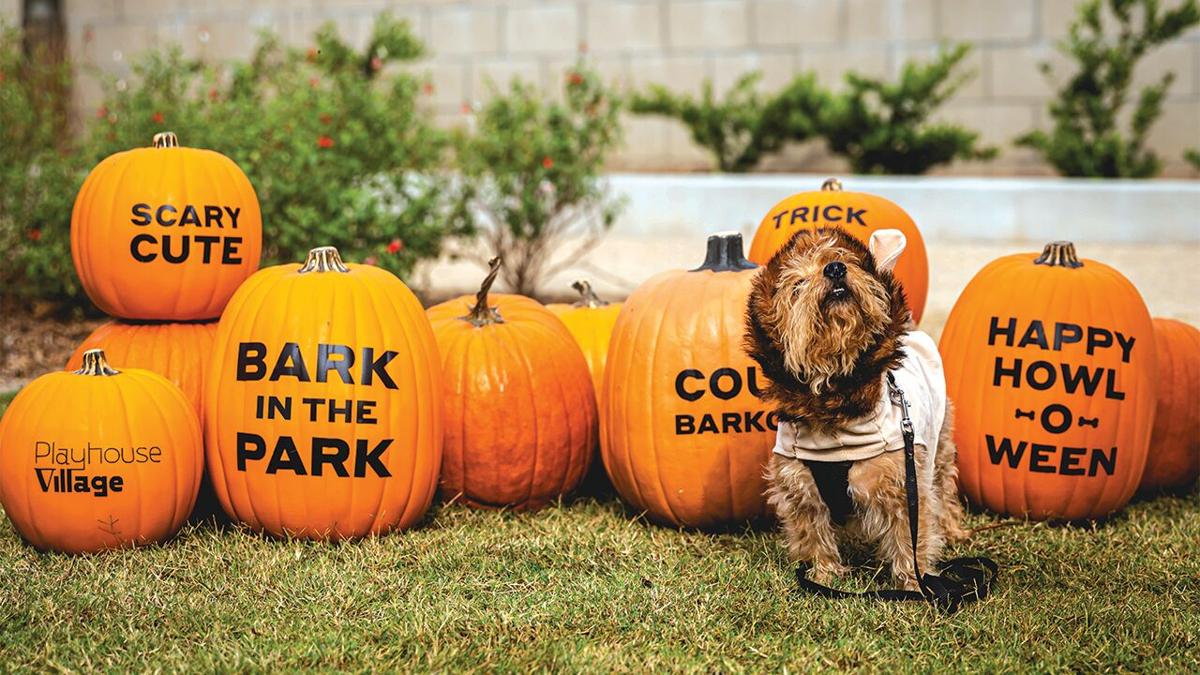 Take your doggy trick or treating at the Bark Bash at the Heritage