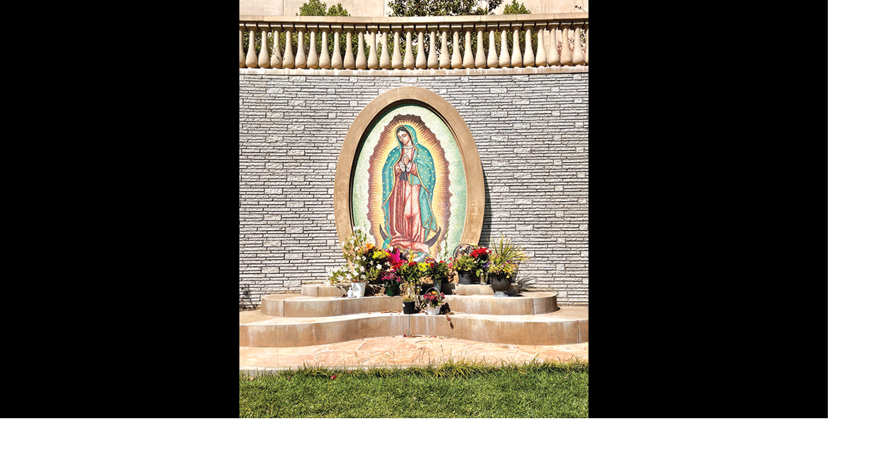 ‘Reina de Los Angeles’: Photographer celebrates Virgin of Guadalupe art | Feature Stories