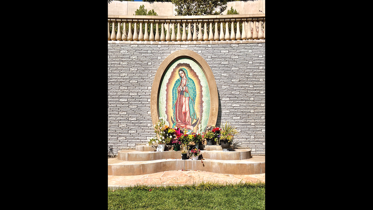 Reina de Los Angeles': Photographer celebrates Virgin of Guadalupe