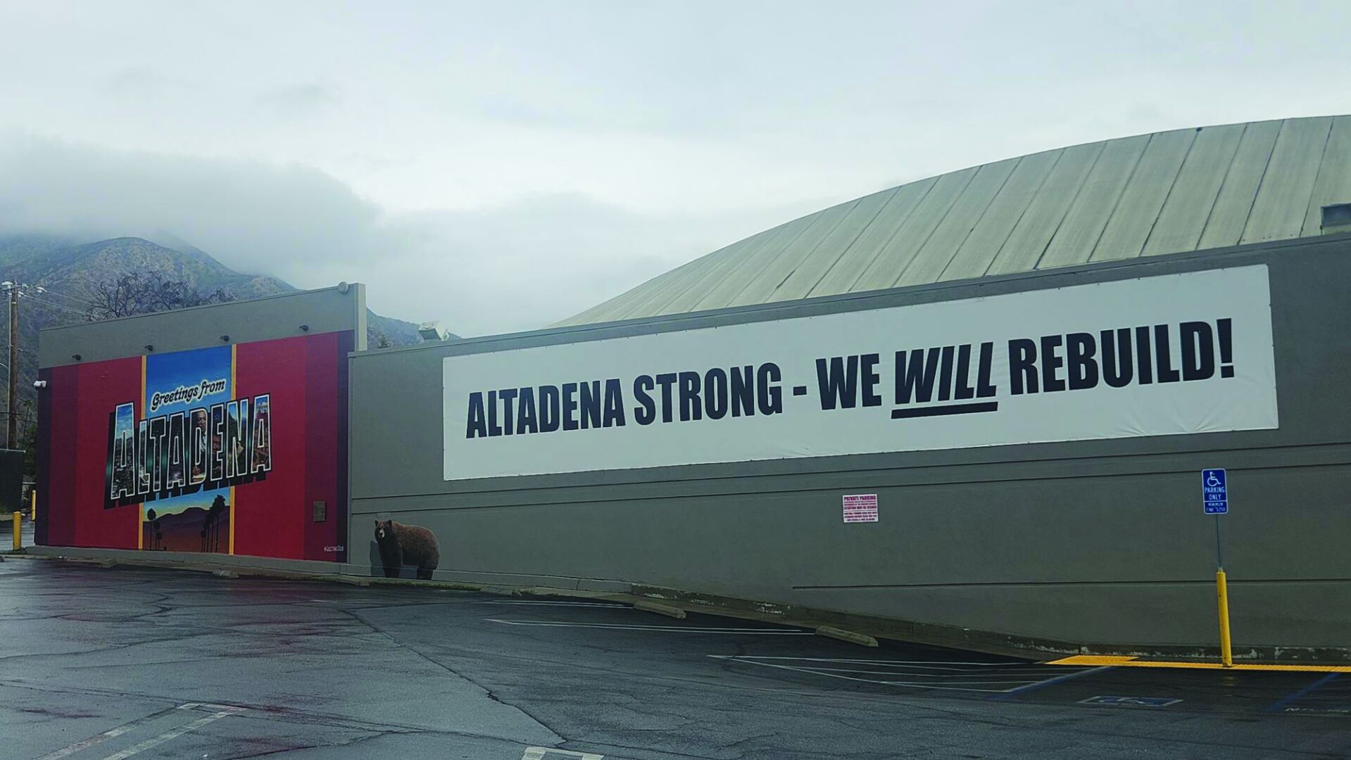Resilience and Strength: Altadena Forever Run supports Eaton Fire ...
