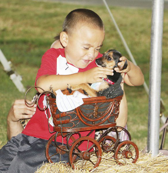 Fair Fun