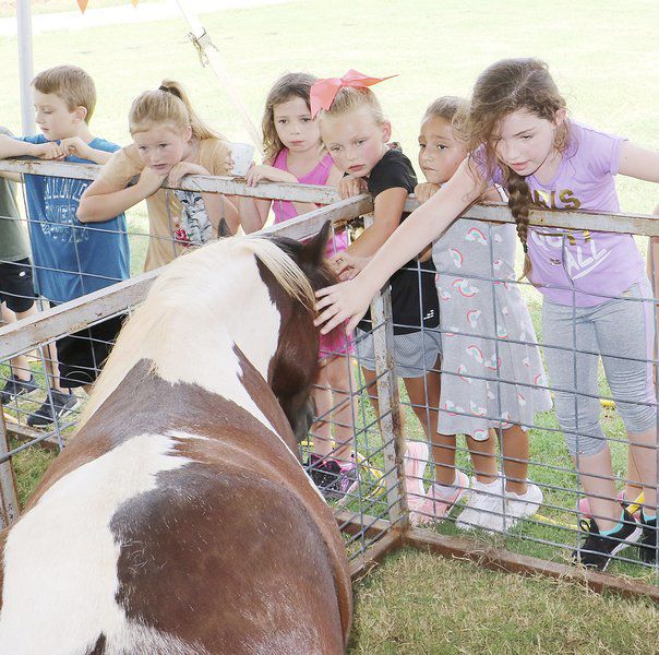 Fair Fun Local News Paulsvalleydailydemocrat Com