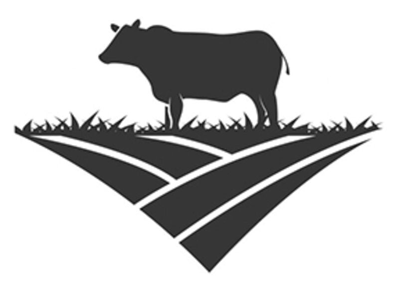 Clipart Cattle Brands Registered