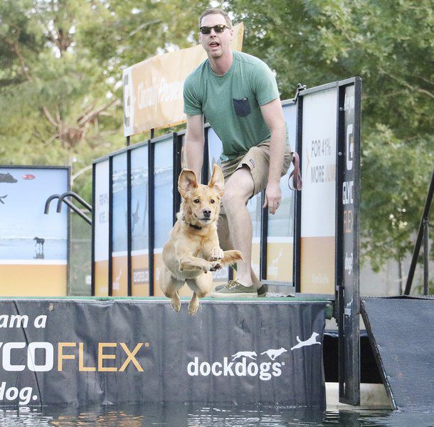Dog gone fun