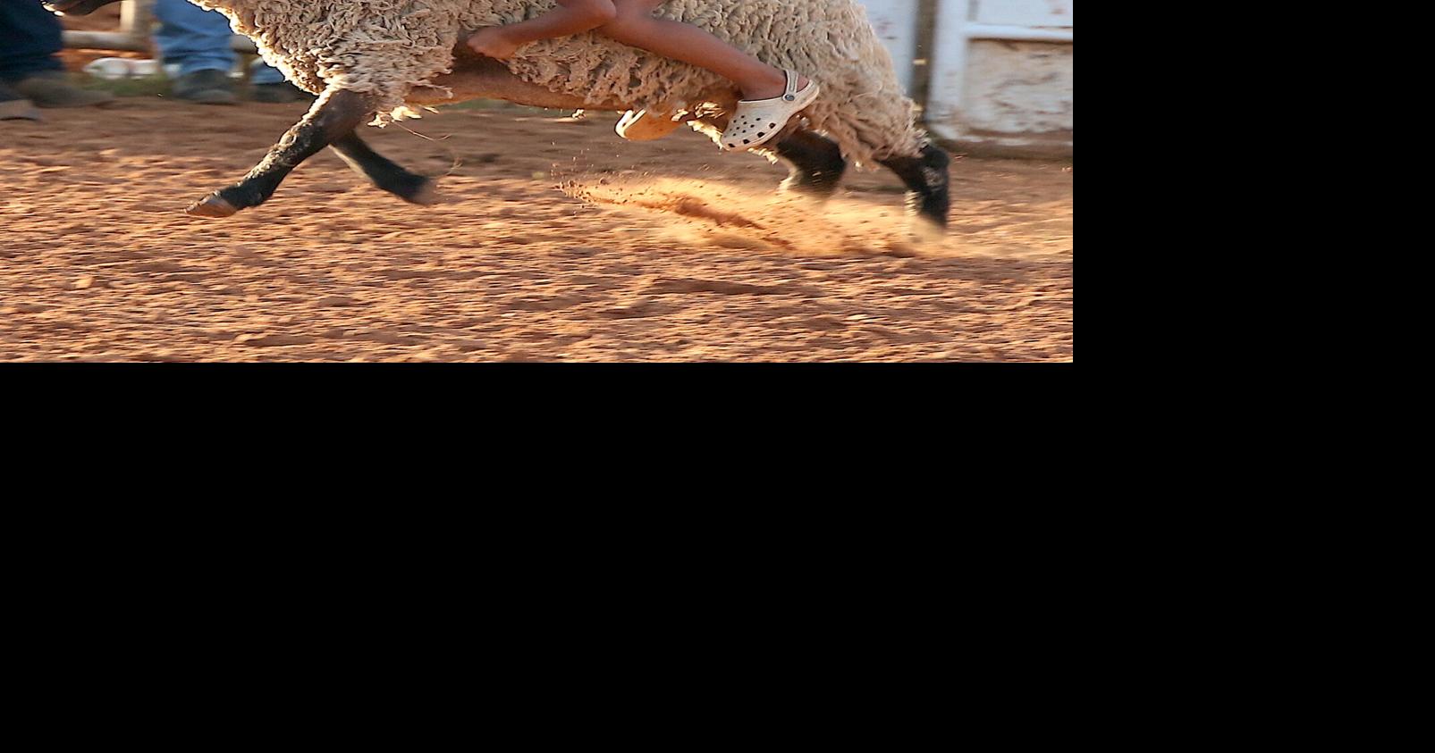 Heritage Days Rodeo | Local Sports | paulsvalleydailydemocrat.com