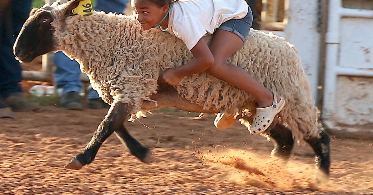 Jewish Rodeo Heritage Days Rodeo | Local Sports | paulsvalleydailydemocrat.com