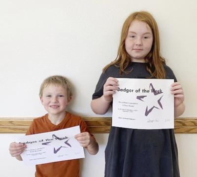 Badgers of the week