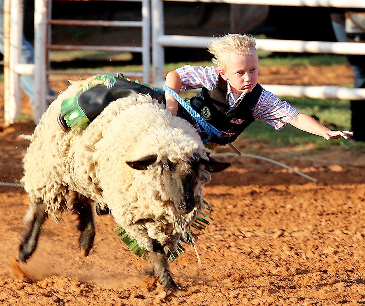 Pauls Valley Rodeo News