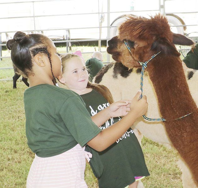 Fair Fun