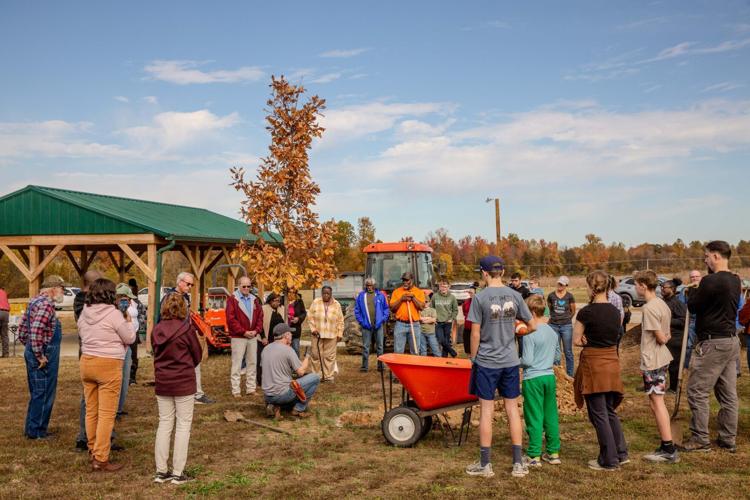Olmsted tree planting-0561.jpg
